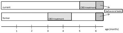 Prolonged Cannabidiol Treatment Lacks on Detrimental Effects on Memory, Motor Performance and Anxiety in C57BL/6J Mice